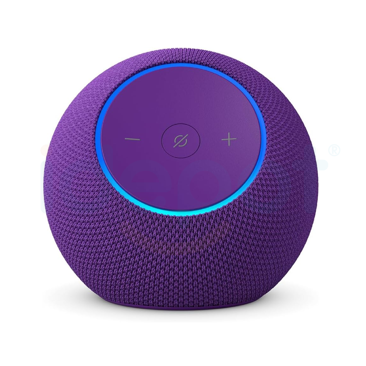 Alexa echo dot max