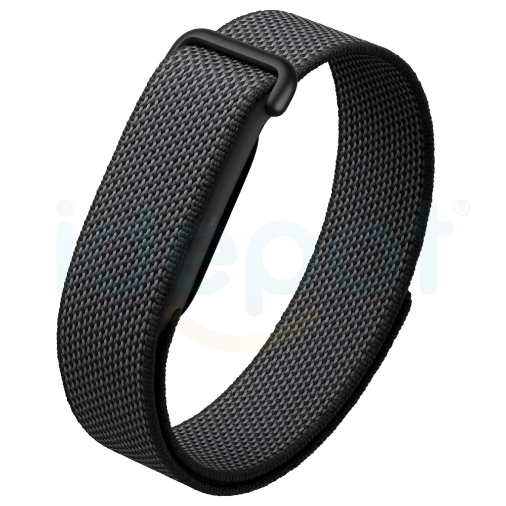 Google Fitbit Air