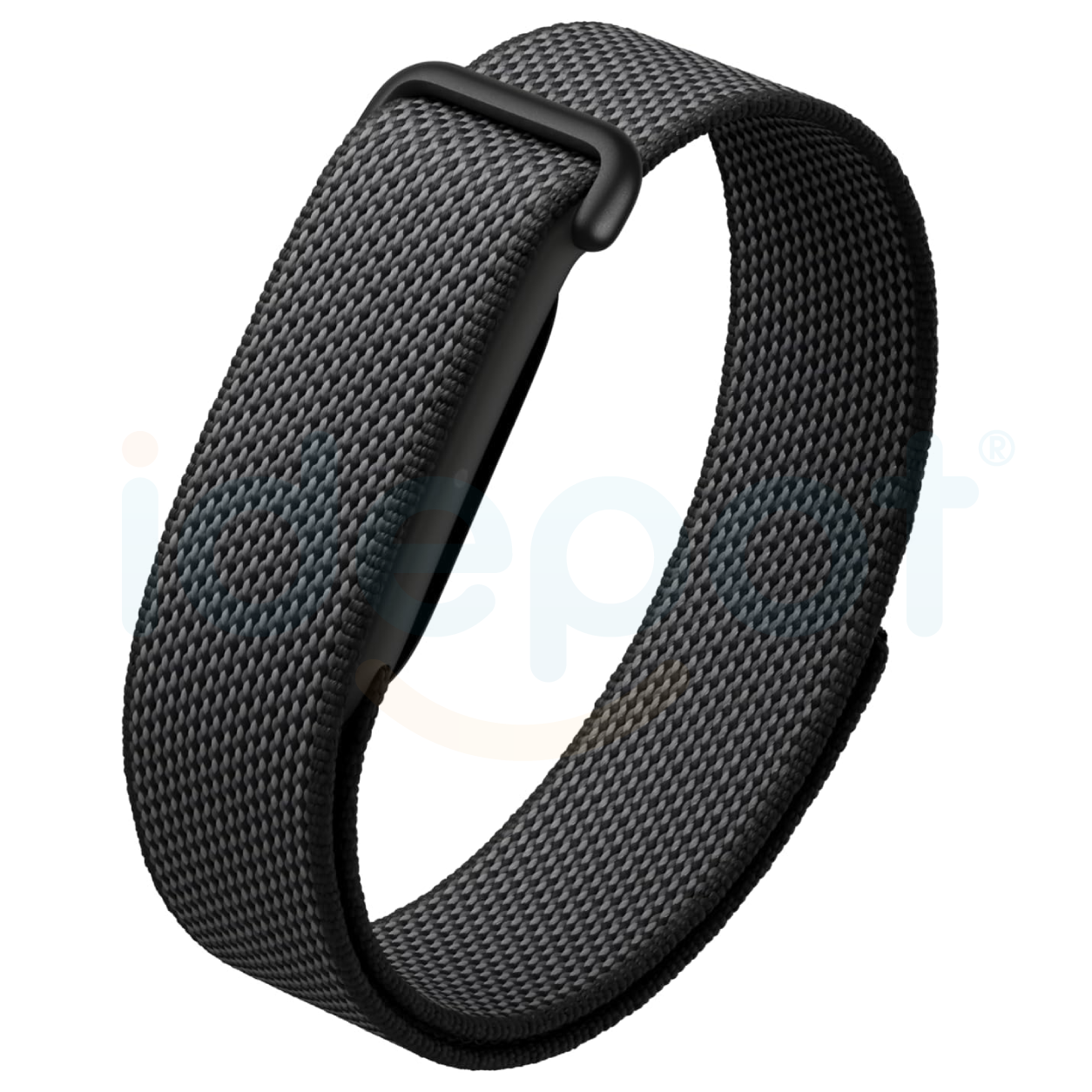 Google Fitbit Air