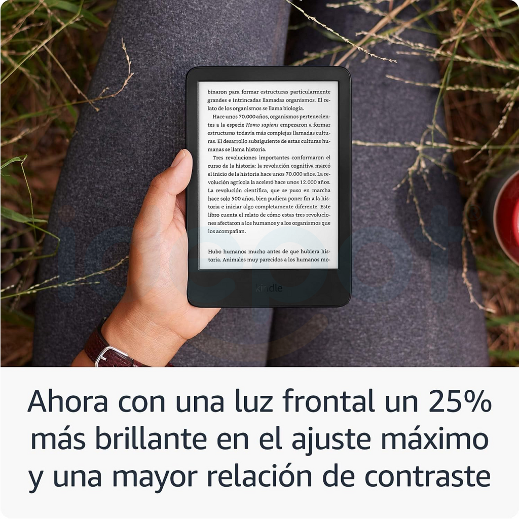 Amazon Kindle 16 GB (último modelo)